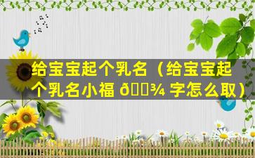 给宝宝起个乳名（给宝宝起个乳名小福 🌾 字怎么取）